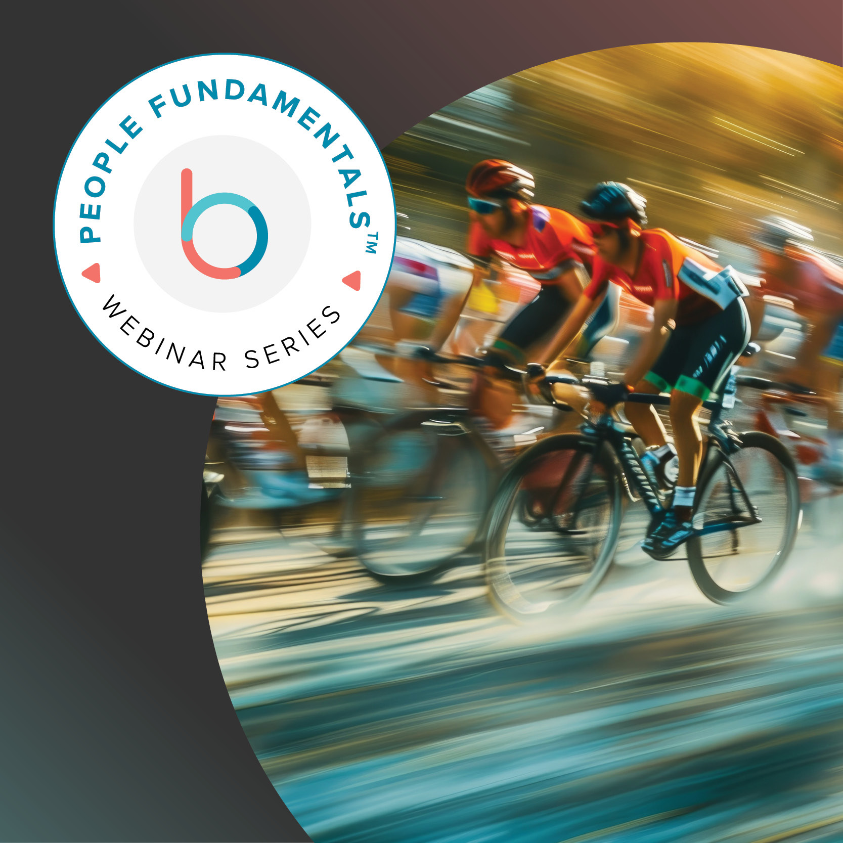 Skills Fitness: Expert Insights in Building a Skills-Based Organization